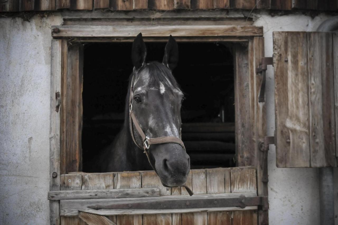 Ferienhof Metzler Bodnegg Buitenkant foto