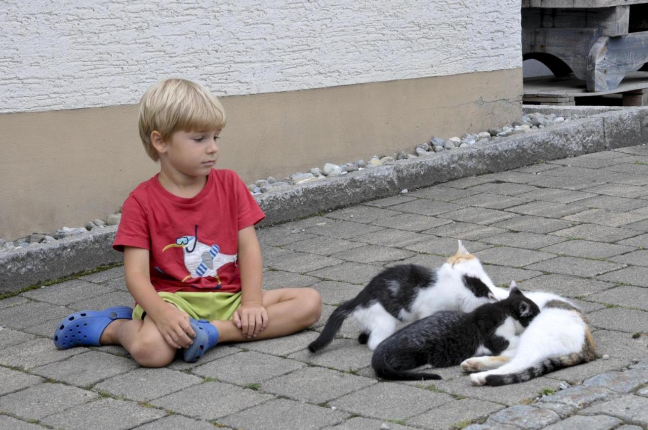 Ferienhof Metzler Bodnegg Buitenkant foto