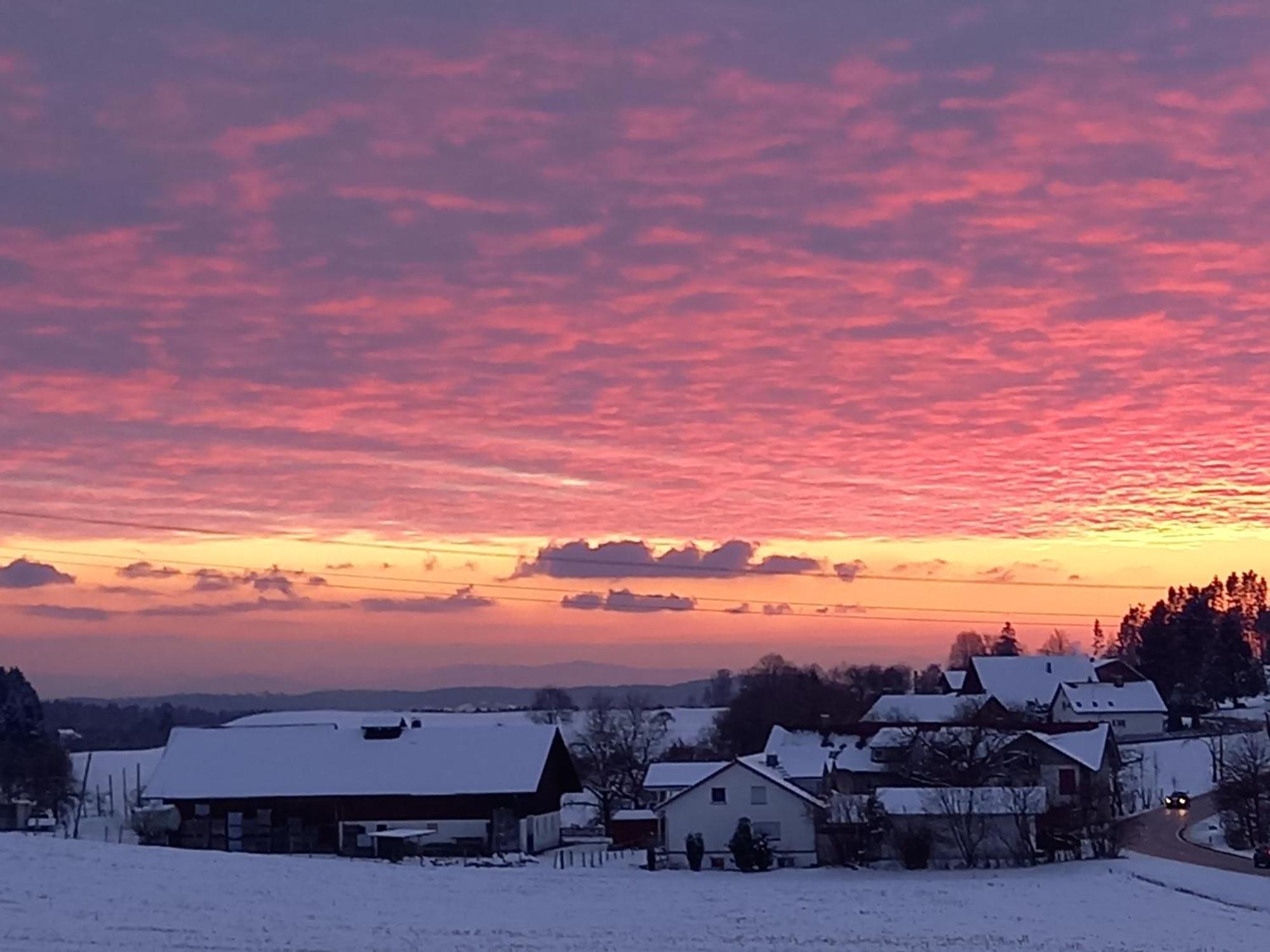 Ferienhof Metzler Bodnegg Buitenkant foto