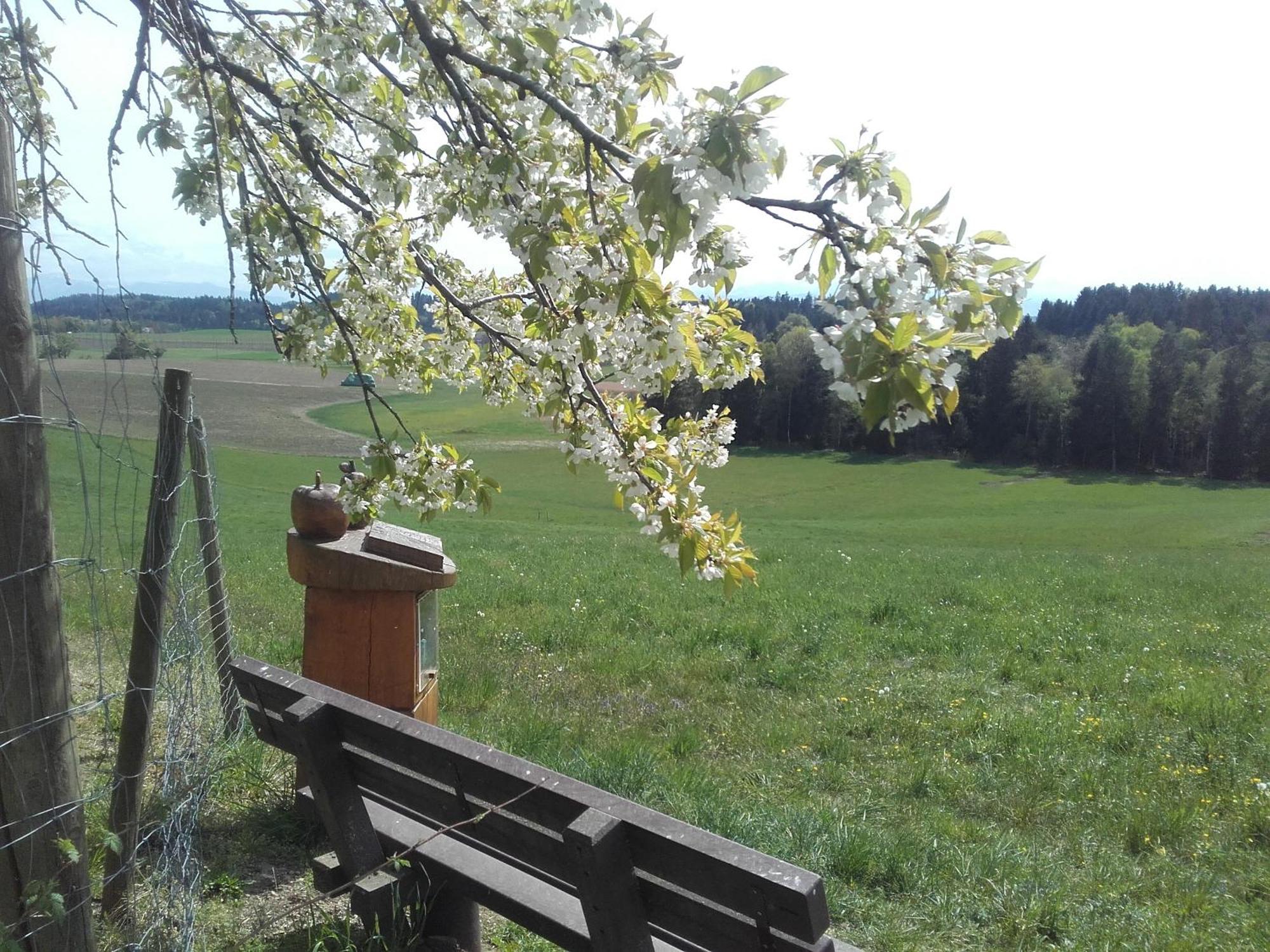 Ferienhof Metzler Bodnegg Buitenkant foto