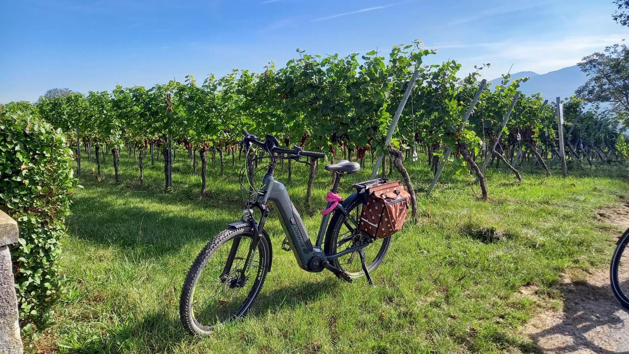 Ferienhof Metzler Bodnegg Buitenkant foto