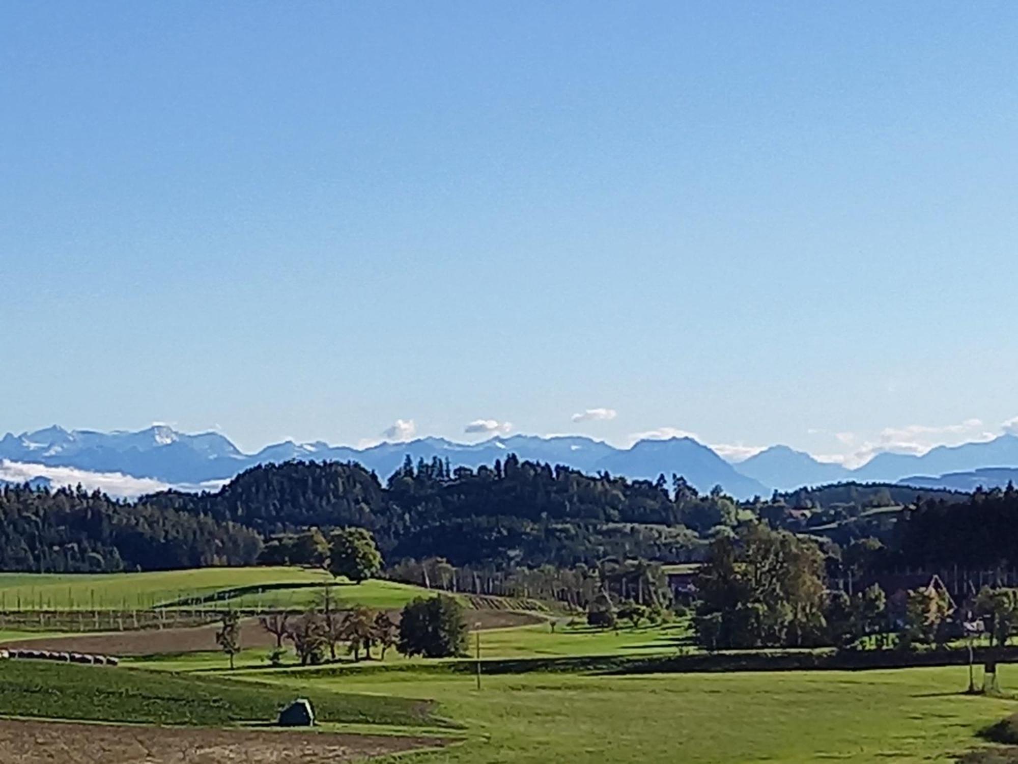 Ferienhof Metzler Bodnegg Buitenkant foto