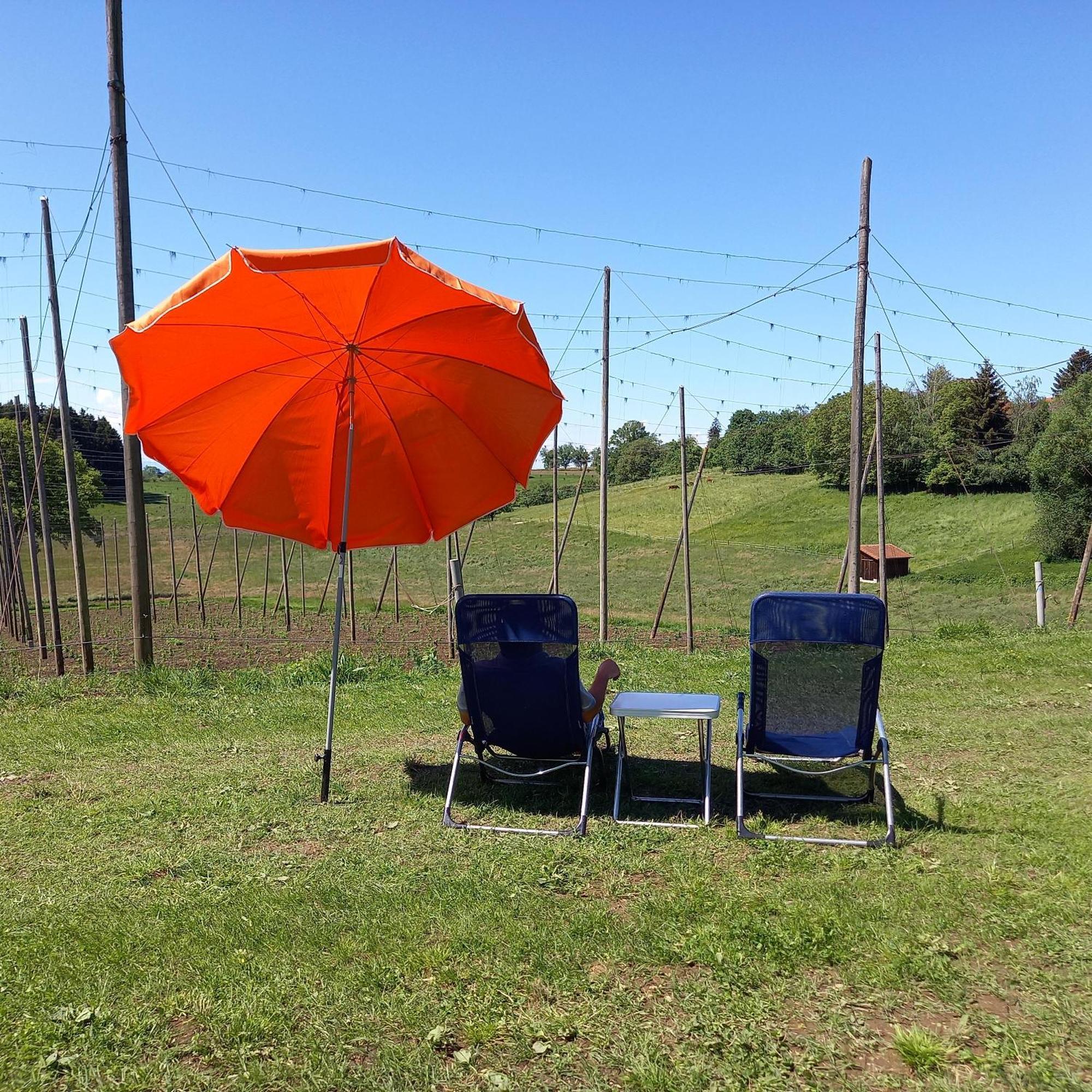 Ferienhof Metzler Bodnegg Buitenkant foto