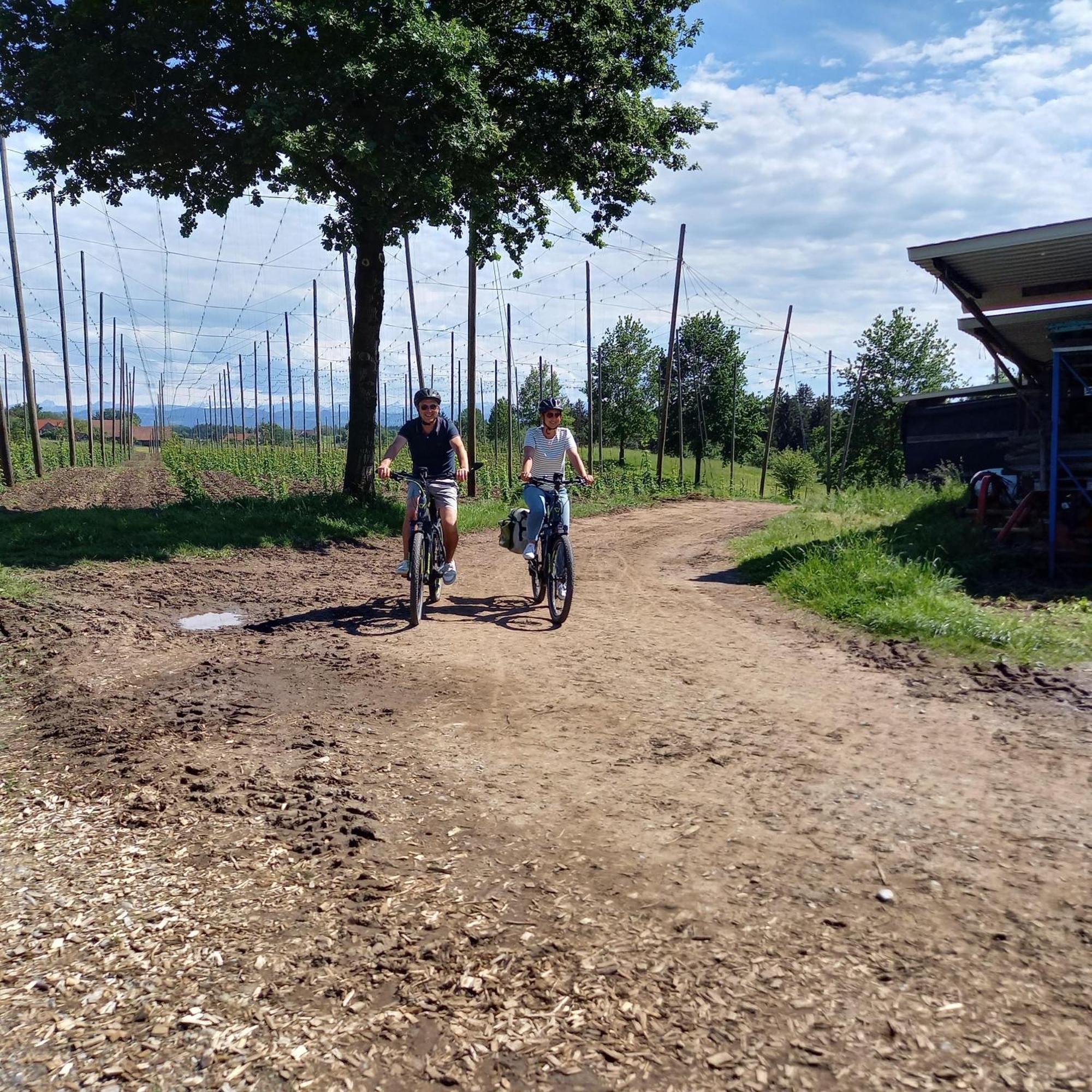 Ferienhof Metzler Bodnegg Buitenkant foto